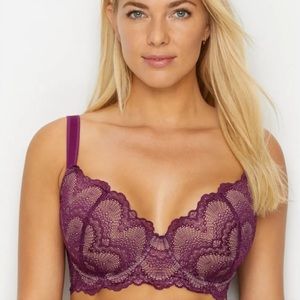 Camio Mio Lace Bra with Padded Cups -Mystic Plum color.